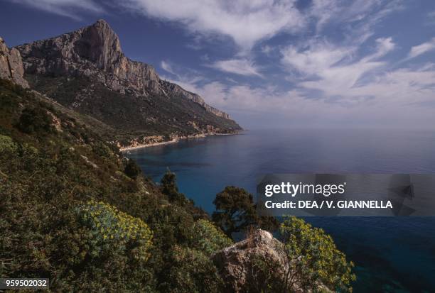 View of a stretch of coast from Pedra Longa, with Punta Giradili in the background, National Park of the Bay of Orosei and Gennargentu, Ogliastra,...