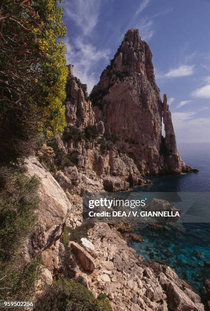 Pedra Longa, limestone pinnacle overlooking the sea, 128 m high, near Baunei, National Park of the Bay of Orosei and Gennargentu, Ogliastra,...