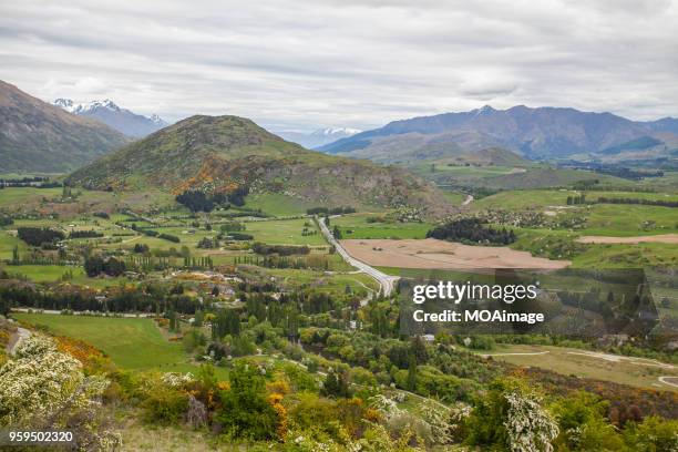 south island scenery,newzealand - mackenzie country stock pictures, royalty-free photos & images