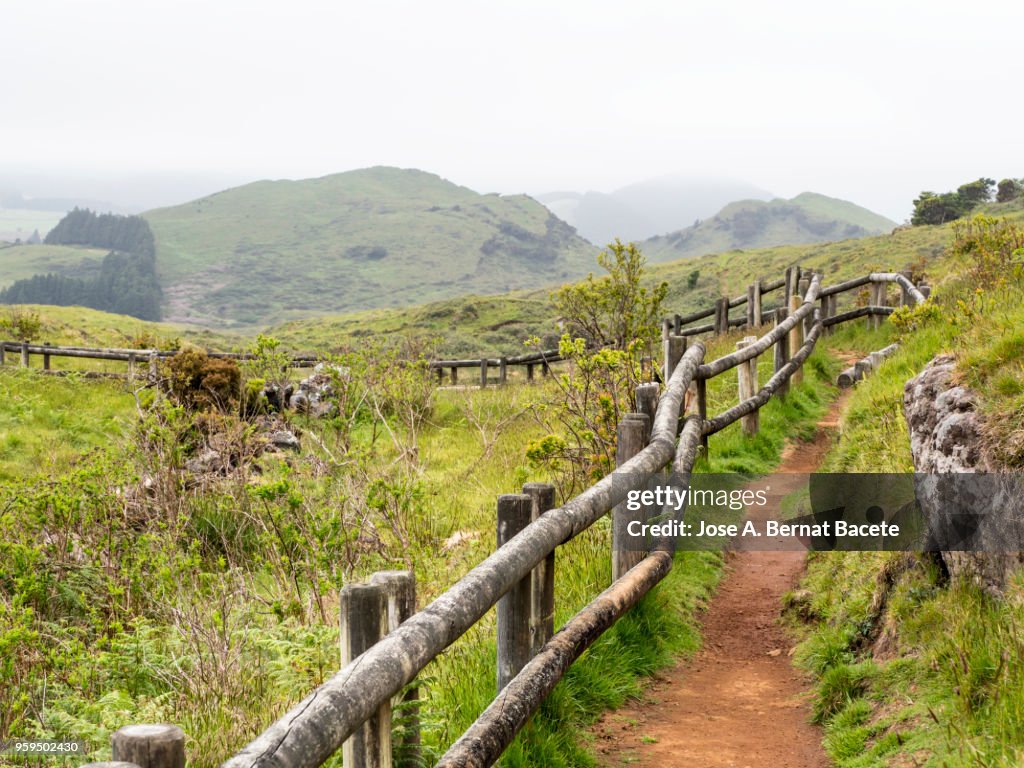 Dirt track and green grass with a handrail of trunks of wood to walk along the field of the Terceira Island in the Azores, Portugal.