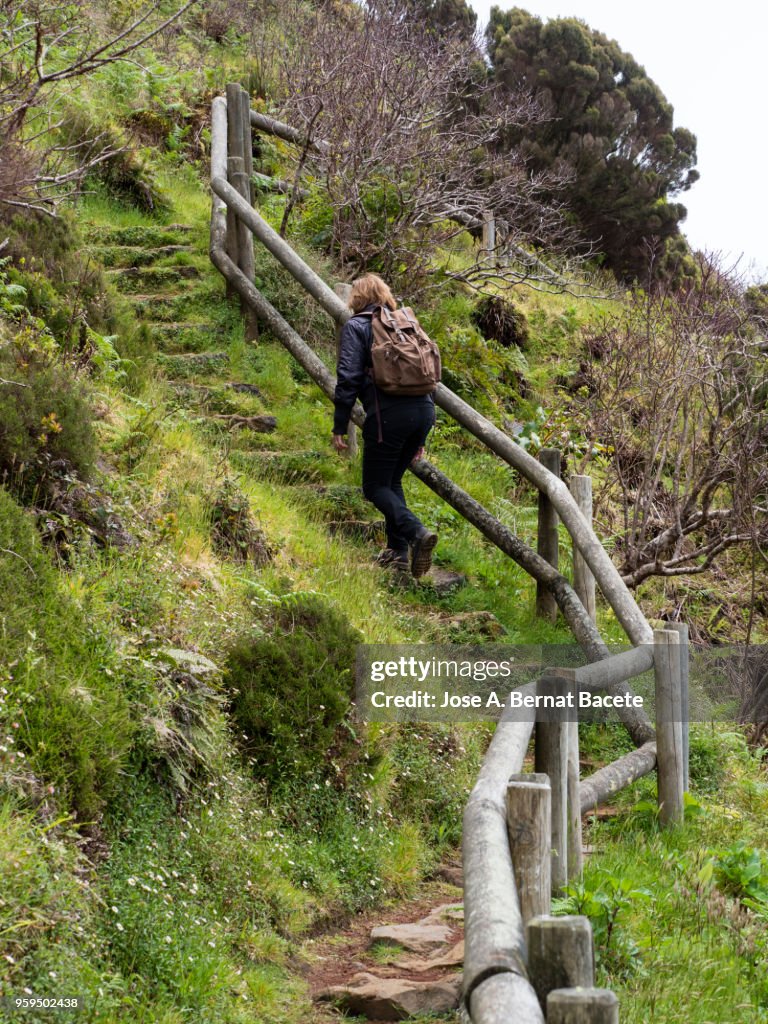 Woman walking by dirt track and green grass with a handrail of trunks of wood to walk along the field of the Terceira Island in the Azores, Portugal.