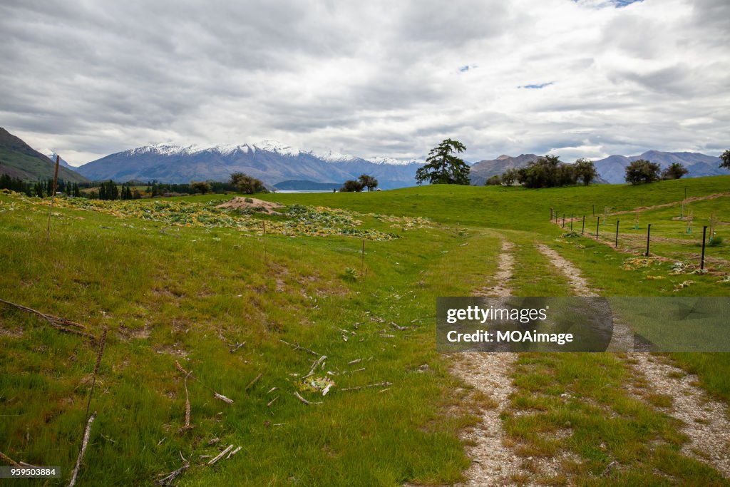 South island scenery,New Zealand