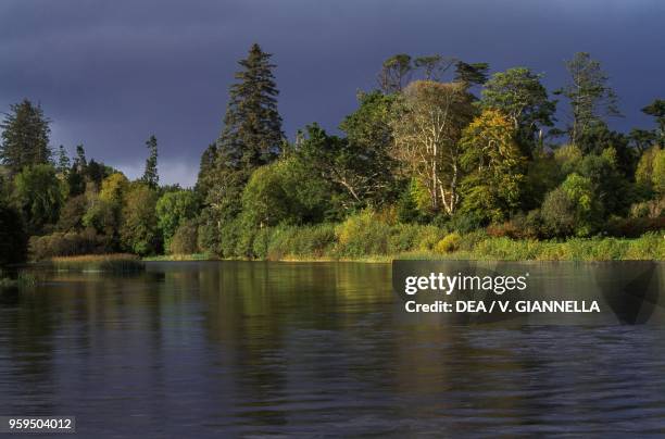 River in the vicinity of Cong, a village straddling the borders of County Mayo and County Galway, Ireland.