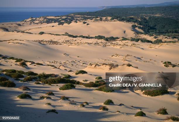 Dunes Of Piscinas Photos And Premium High Res Pictures Getty Images dunes-of-piscinas-photos-and-premium-high-res-pictures-getty-images