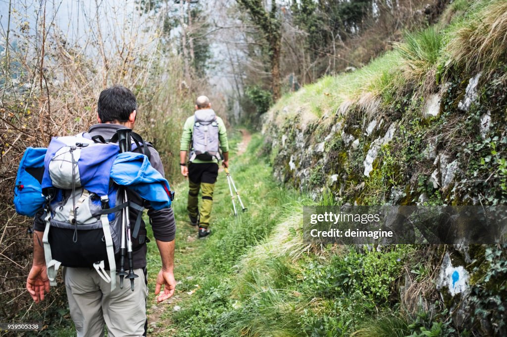 Caminhantes andando no caminho da floresta