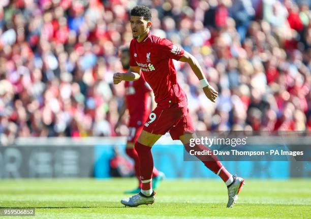 Liverpool's Dominic Solanke