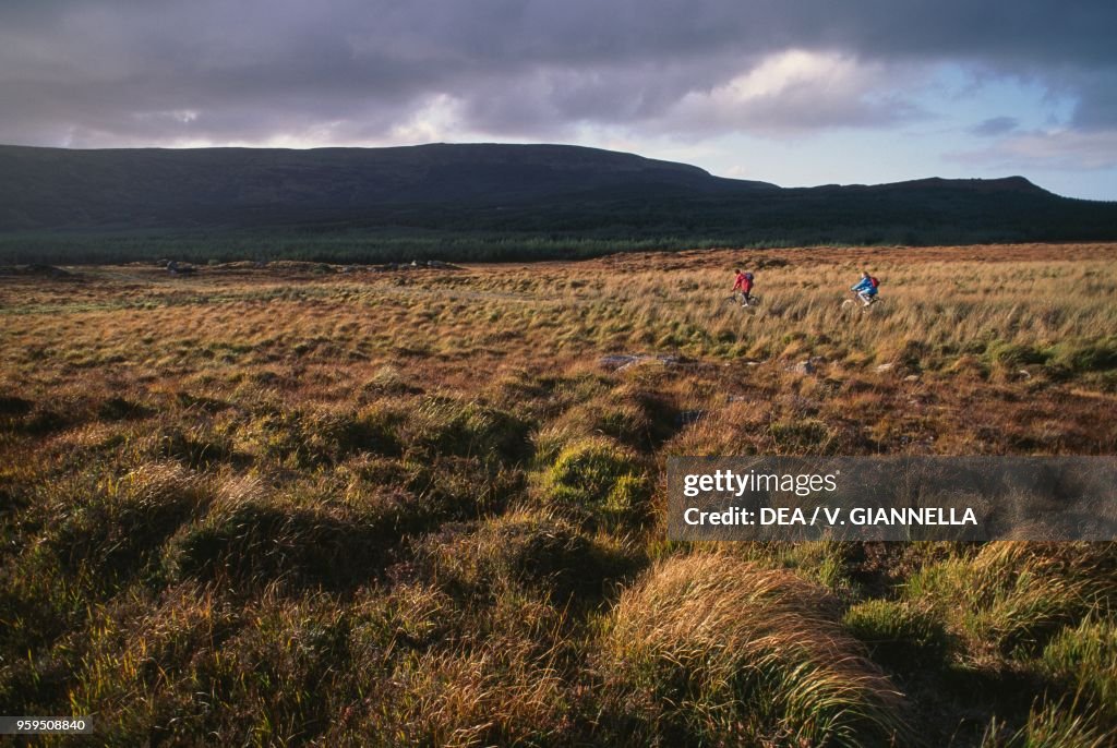 Ox Mountains scenic route, County Sligo