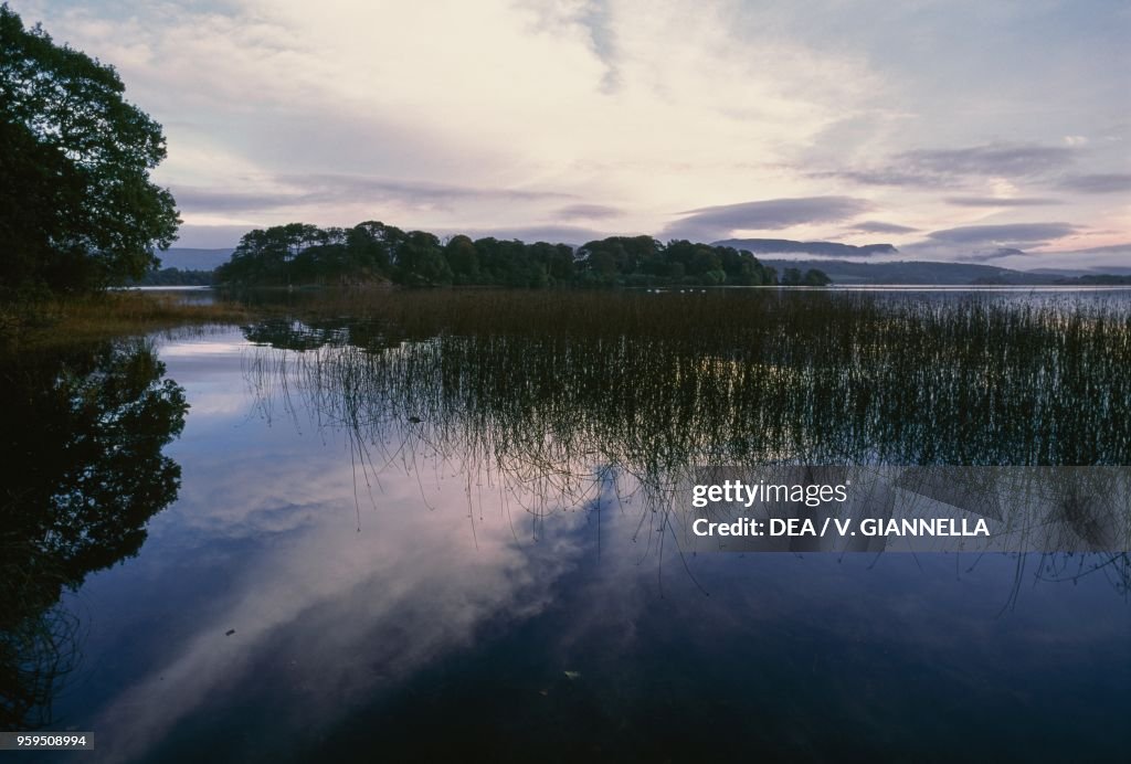 Sunrise reflections on Lough Gill, County Sligo
