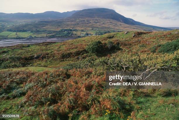 Carrick bay during low tide, Slieve League mountain in the background, County Donegal, Ireland.