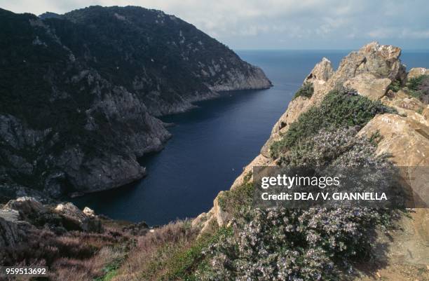 View of Cala Maestra, Gorgona island, Tuscan Archipelago National Park, Tuscany, Italy.