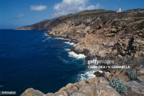 Punta di Capel Rosso and the lighthouse, Giglio island, Tuscan Archipelago National Park, Tuscany, Italy.