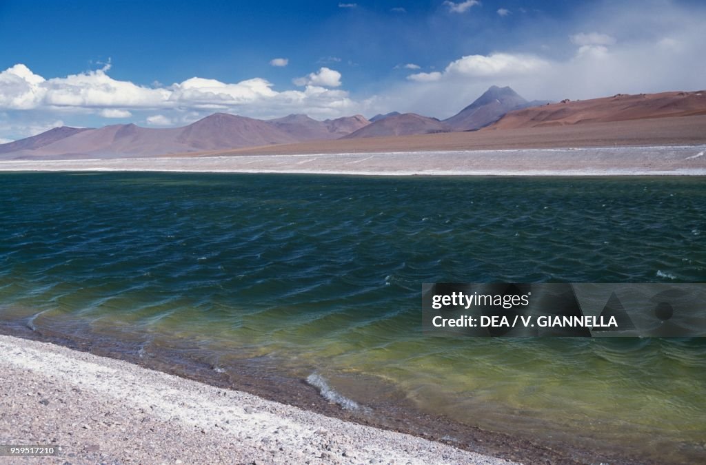 The Salar de Pujsa Natural Reserve