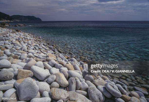 Pebble beach between Punta di Fetovaia and Seccheto, Elba, Tuscan Archipelago National Park, Tuscany, Italy.