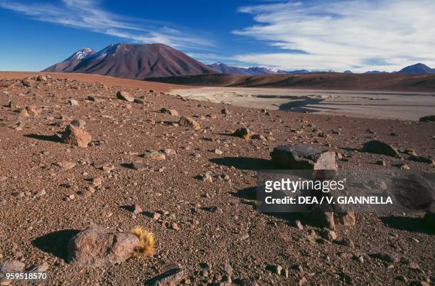 Rocky plateau with the Volcanoes Licancabur and Juriques in the background, Chile.