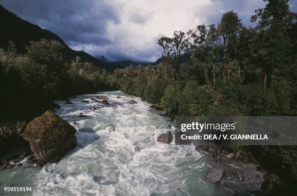 Rio Blanco in the temperate rainforest, Hornopiren National Park, Los Lagos Region, Chile.