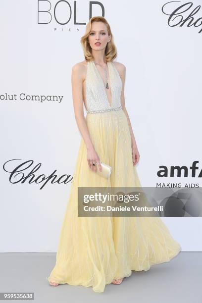 Daria Strokous arrives at the amfAR Gala Cannes 2018 at Hotel du Cap-Eden-Roc on May 17, 2018 in Cap d'Antibes, France.