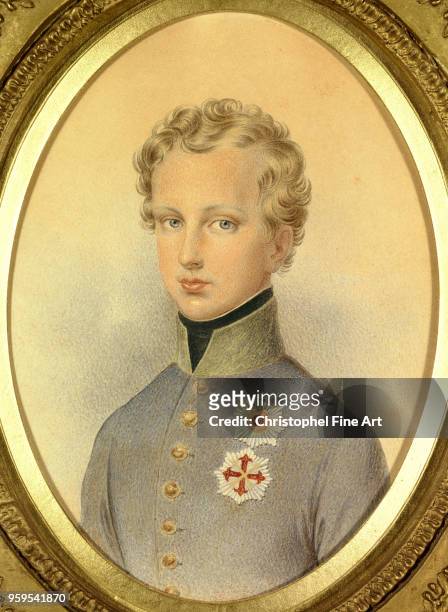 Portrait of the Duke of Reichstadt 1830, Ender Johann Nepomuk , private collection,, France.