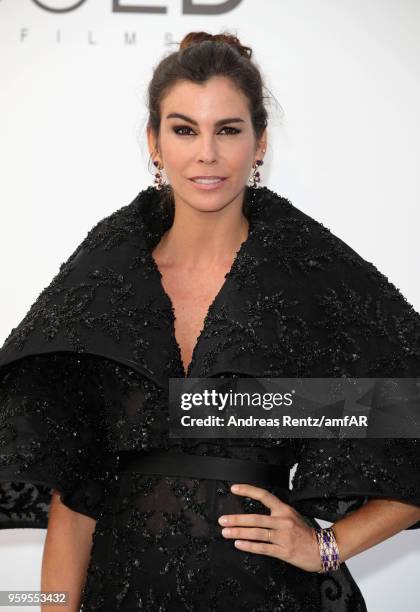 Christina Pitanguy arrives at the amfAR Gala Cannes 2018 at Hotel du Cap-Eden-Roc on May 17, 2018 in Cap d'Antibes, France.