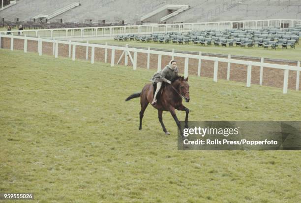 Princess Margaret, Countess of Snowdon rides a horse in a race involving members of the British royal family during the Royal Ascot race meeting at...