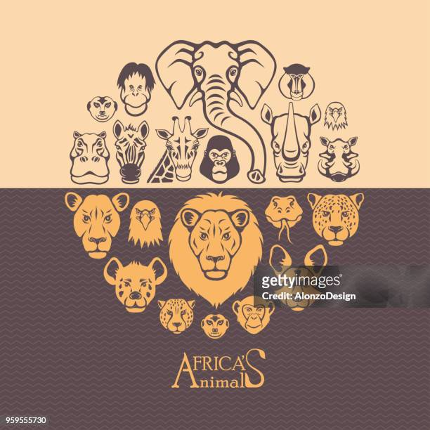 wilde afrika - lion tamarin stock-grafiken, -clipart, -cartoons und -symbole
