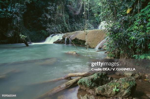 The Scatter Falls in the rainforest, Rio Grande, Port Antonio, Jamaica.