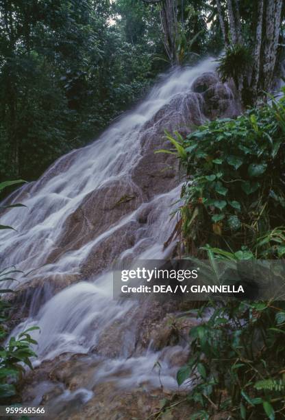 The Scatter Falls in the rainforest, Rio Grande, Port Antonio, Jamaica.