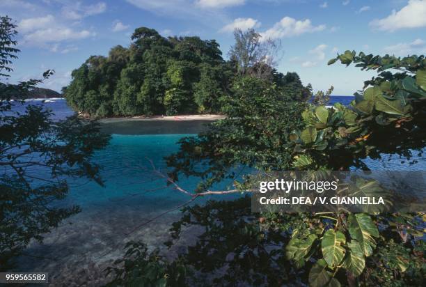 View of Monkey Island covered with vegetation, Port Antonio, Jamaica.