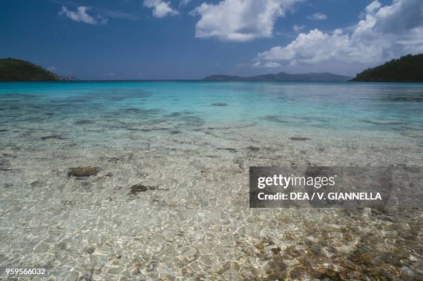 The reef of Hawksnest Bay, Virgin Islands National Park, island of Saint John, US Virgin Islands, United States of America.
