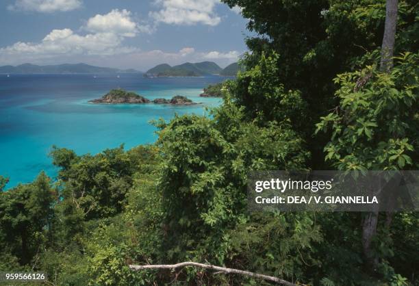 View of Trunk Bay, Virgin Islands National Park, island of Saint John, US Virgin Islands, United States of America.
