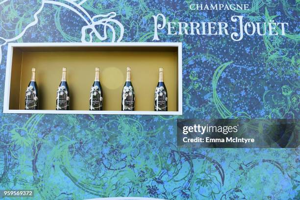 Perrier-Jouet: at the amfAR Gala Cannes 2018 at Hotel du Cap- Eden-Roc on May 17, 2018 in Cap d'Antibes, France.