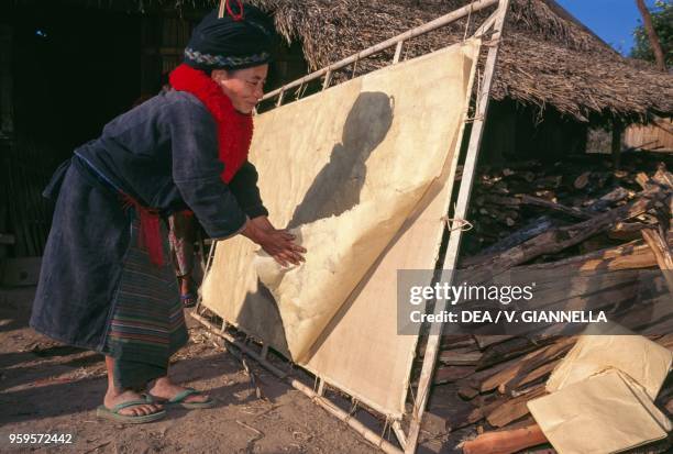 Manufacture of bamboo fibre paper in a village of Yao people near Muang Sing, Laos.
