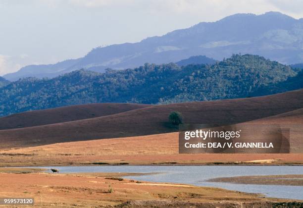 View of the Plain of Jars, plateau of Xiangkhoang, Laos.
