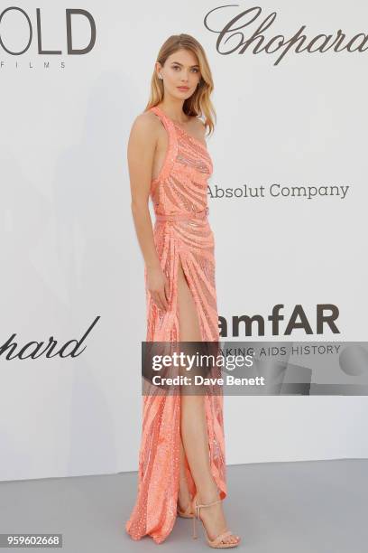 Megan Williams arrives at the amfAR Gala Cannes 2018 at Hotel du Cap-Eden-Roc on May 17, 2018 in Cap d'Antibes, France.