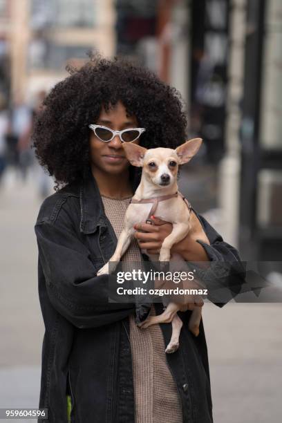 young woman with her dog - little punk stock pictures, royalty-free photos & images