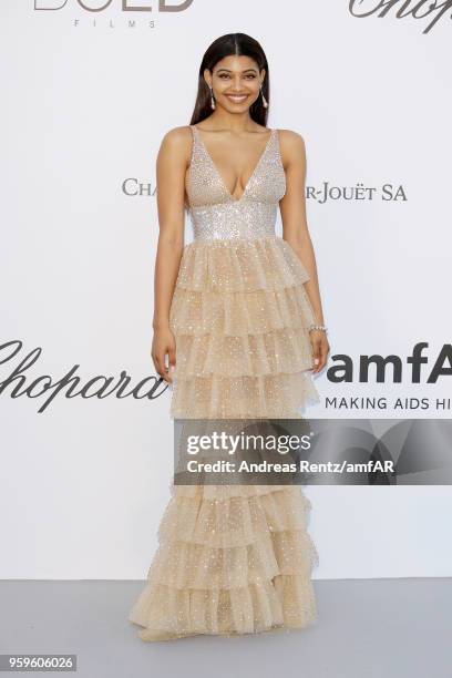 Danielle Herrington arrives at the amfAR Gala Cannes 2018 at Hotel du Cap-Eden-Roc on May 17, 2018 in Cap d'Antibes, France.