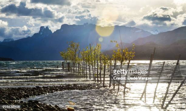 cholila lake, argentine patagonia - chubut province ストックフォトと画像