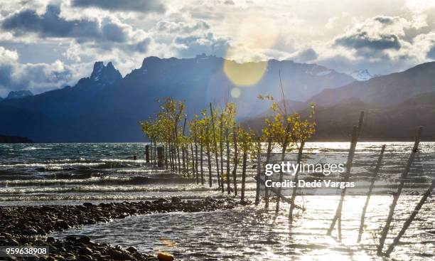 cholila lake, argentine patagonia - chubut province stock pictures, royalty-free photos & images