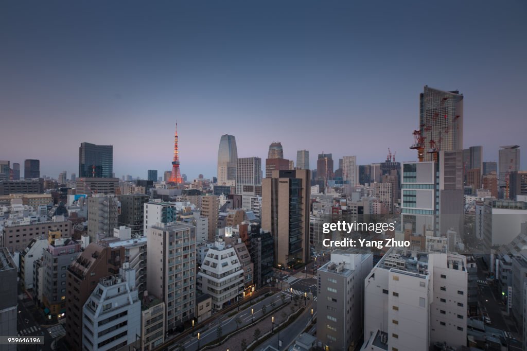 Tokyo Skyline