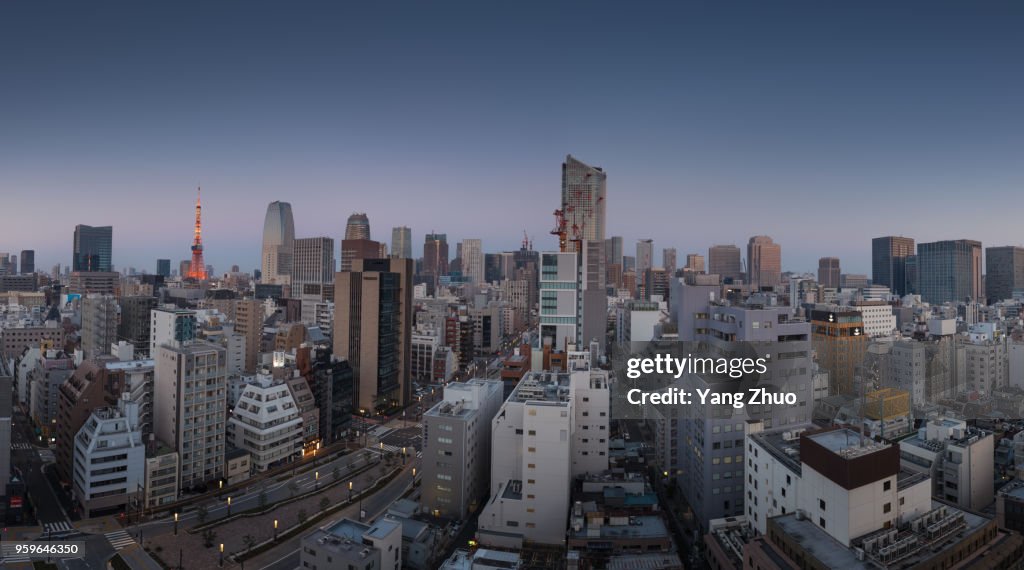 Tokyo Skyline