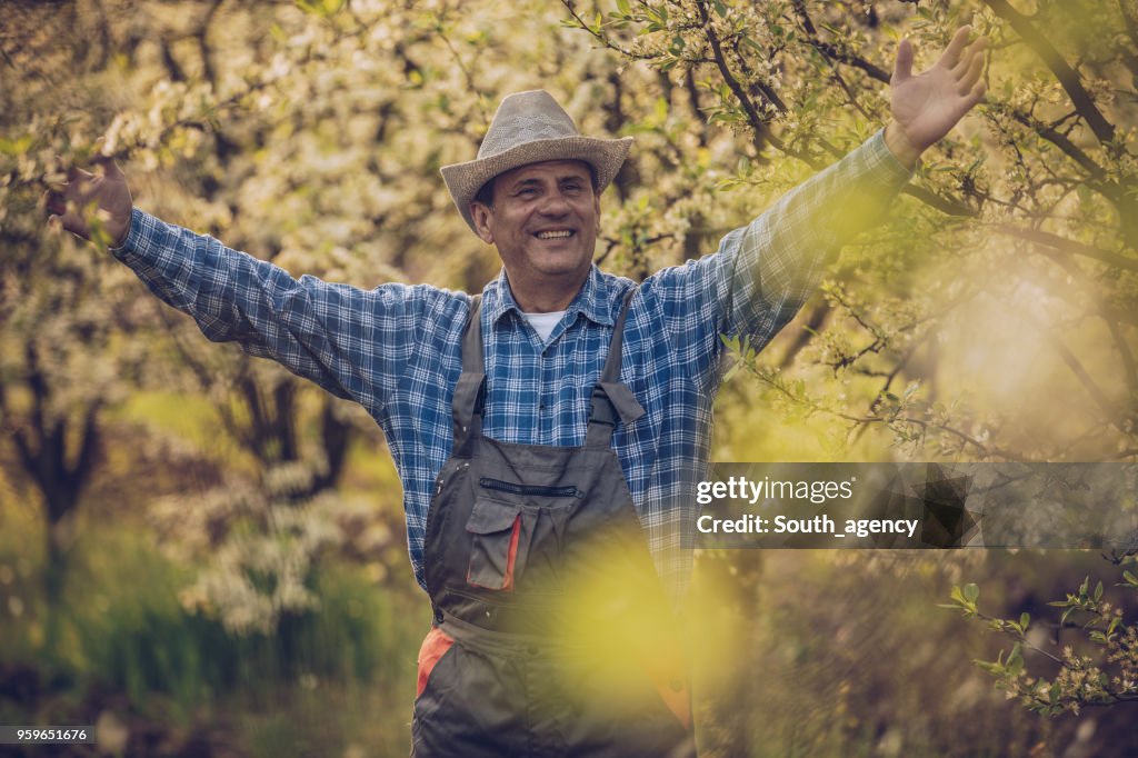 Man enjoying in the orchard