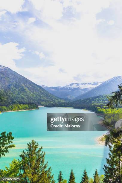 view over lake sylvenstein to the alps. karwendel mountain range. germany, bavaria, lake sylvenstein - sylvenstein lake bildbanksfoton och bilder