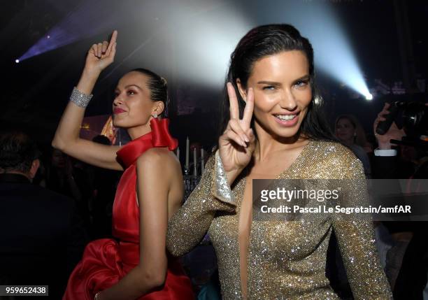 Petra Nemcova and Adriana Lima attend the amfAR Gala Cannes 2018 dinner at Hotel du Cap-Eden-Roc on May 17, 2018 in Cap d'Antibes, France.