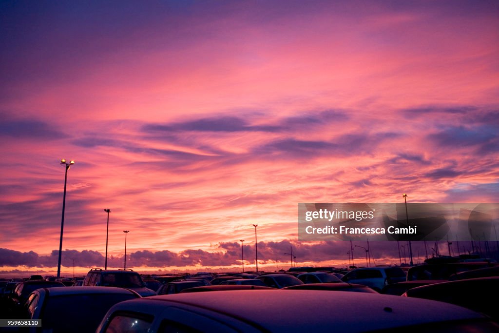 Pink painted sunset sky