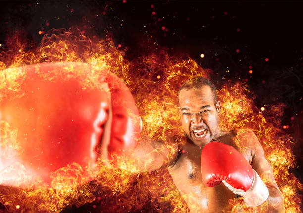 Ferocious Boxer 7,332 Boxers Body Stock Photos, High-Res Pictures, and Images - Getty ...