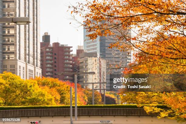 autumn leaves trees stand behind elevated walkway along both side of street among shinjuku subcenter buildings at nishi-shinjuku, tokyo japan on november 24 2017. city traffic goes through under the elevated walkway. - nishi shinjuku foto e immagini stock