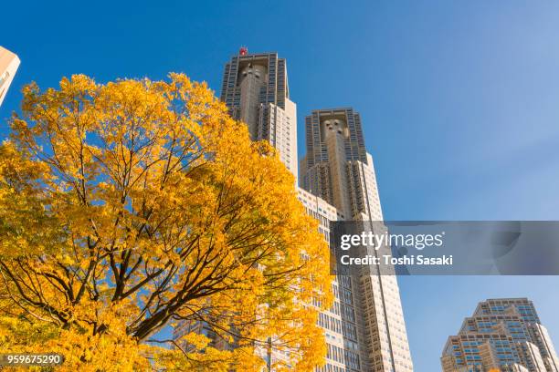 autumn leaves trees stand at front of the tokyo metropolitan government building and other high-rise buildings at shinjuku subcenter nishi-shinjuku, tokyo japan on november 24 2017. view from shinjuku chuo park. - nishi shinjuku foto e immagini stock