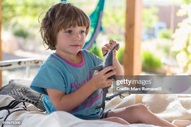 4 year old boy playing with toy shark - lamy new mexico stock pictures, royalty-free photos & images