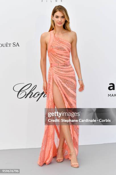 Megan Williams arrives at the amfAR Gala Cannes 2018 at Hotel du Cap-Eden-Roc on May 17, 2018 in Cap d'Antibes, France.