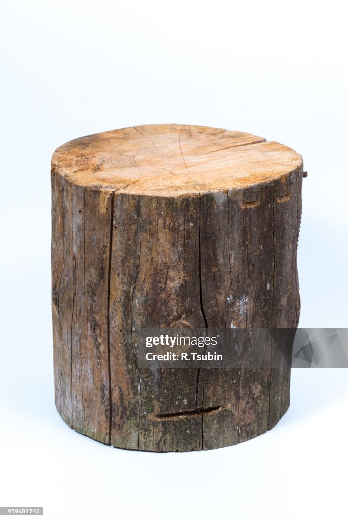 Wood log isolated on a white background