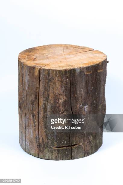 wood log isolated on a white background - stronk stockfoto's en -beelden